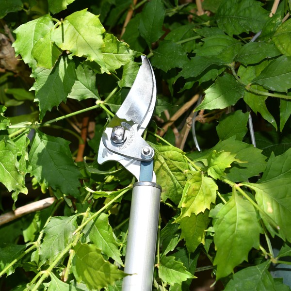 ARS Astschere mit Teleskopstiel 180ZF