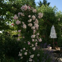 Vorschau: Abbandonata Vorschau: Abbandonata