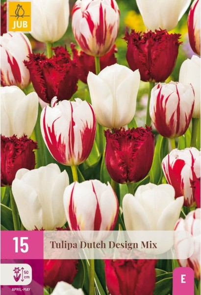 tulpen-dutch-design-mischung-tulipa