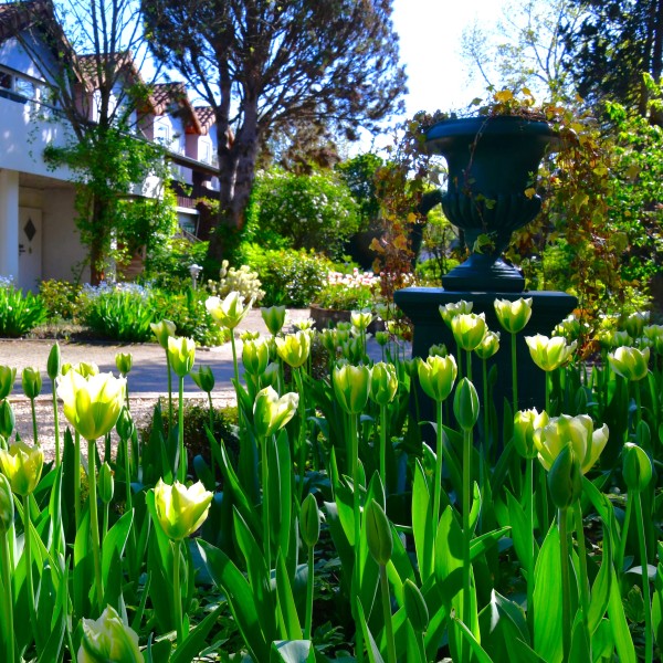 Spring Green
