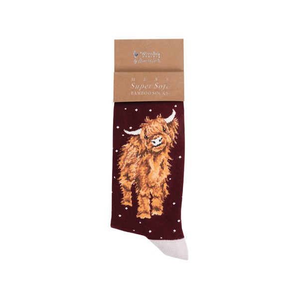 XSOCKM002