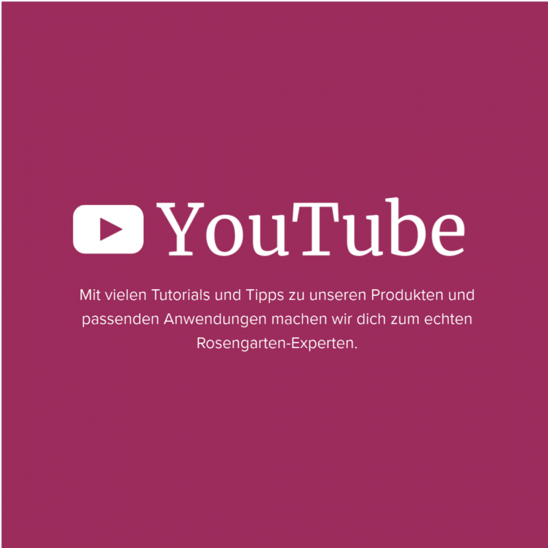 media/image/Youtube-Welt.png