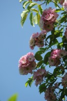 Vorschau: 18005__3 Vorschau: 18005__3