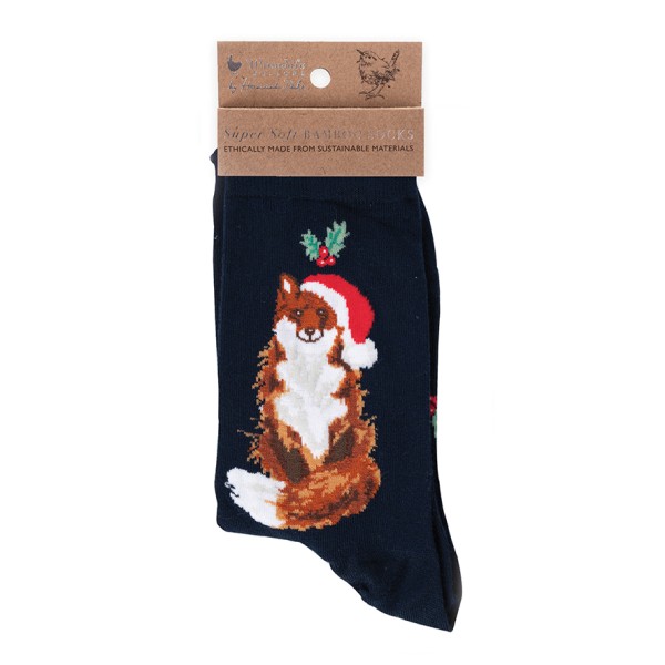 XSOCK002