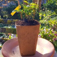 20200402_103156_korr_2 20200402_103156_korr_2