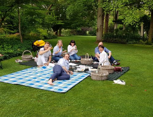 Das erste Sommer-Picknick