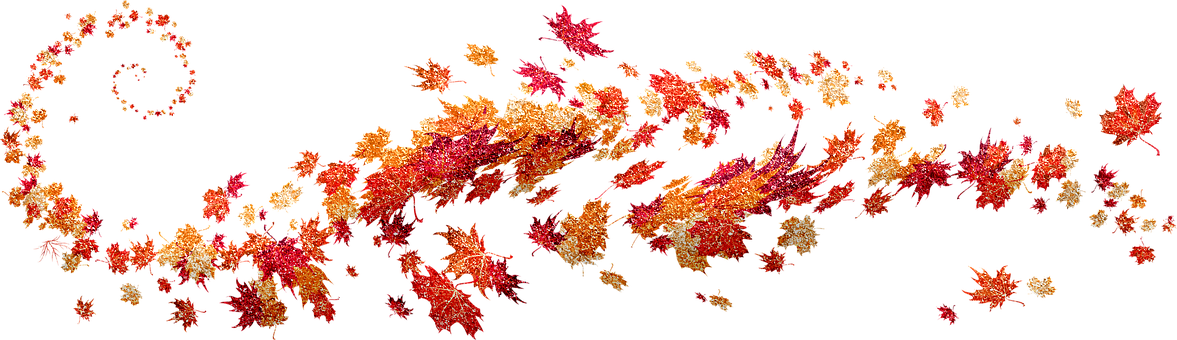 autumn-leaves-53e3dd454e_340