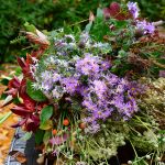 Deko aus dem Garten (2)