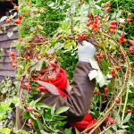 Dominique & Stefanie (25)